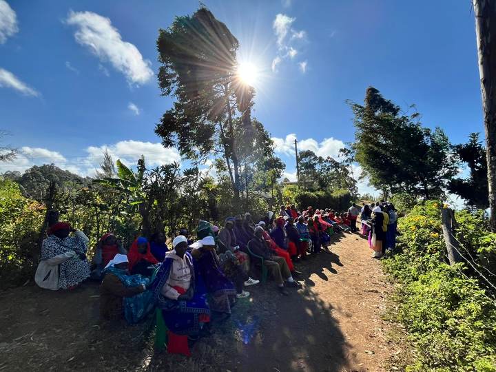 A long row of women seated along a path under trees on a sunny day